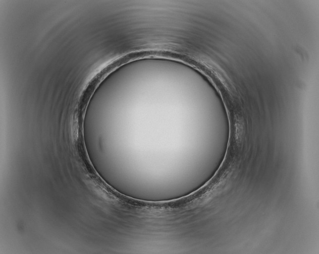 X0000111791069200908061132