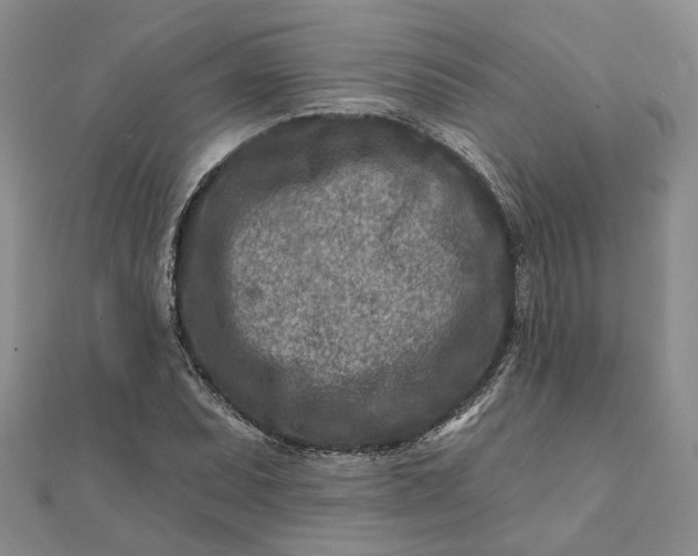 X0000111791071200908061132