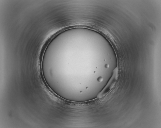 X0000111791072200908061132