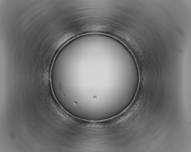 X0000111791073200908061132