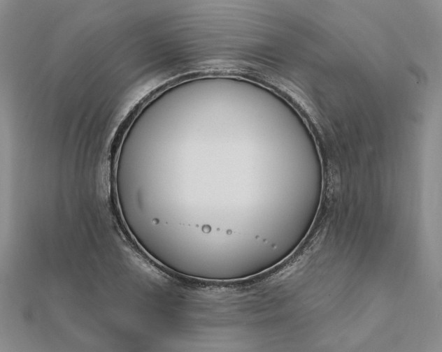 X0000111791075200908061132