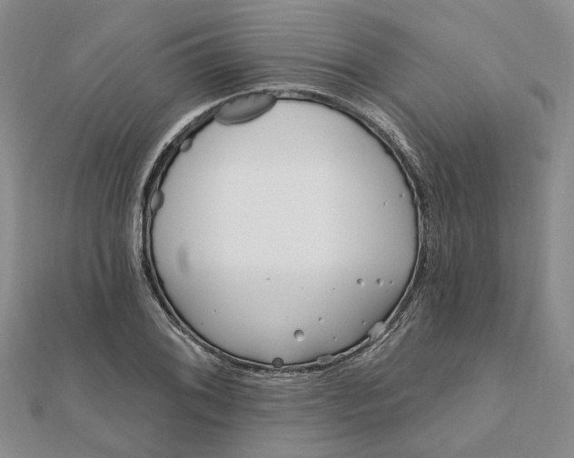 X0000111791076200908061132