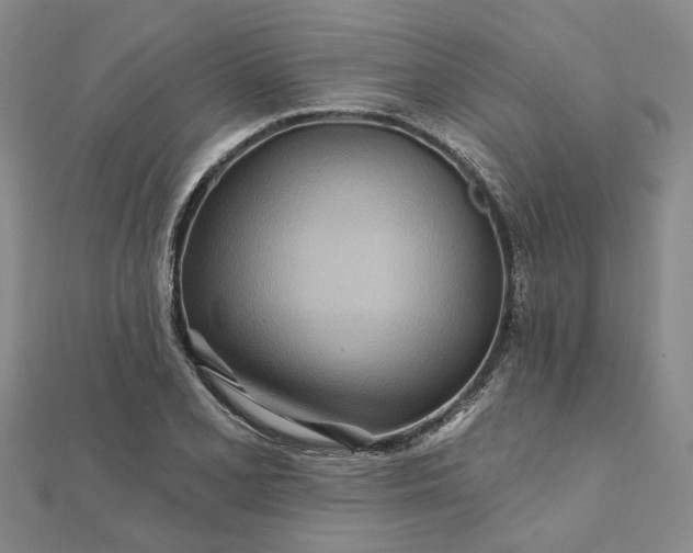 X0000111791077200908061132