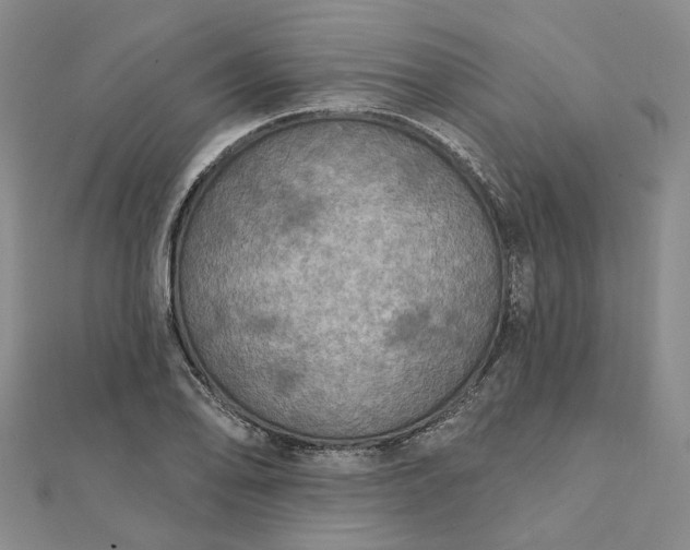 X0000111791078200908061132