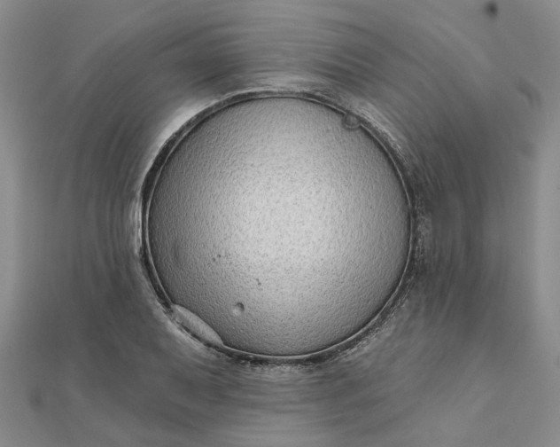 X0000111791079200908061131