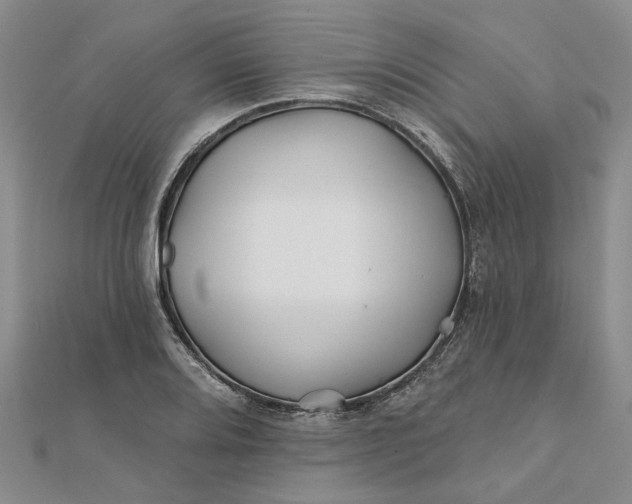 X0000111791080200908061131