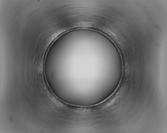 X0000111791081200908061131