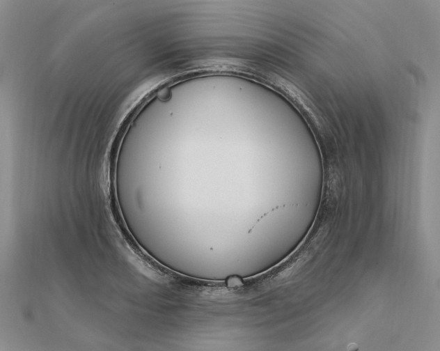 X0000111791082200908061131