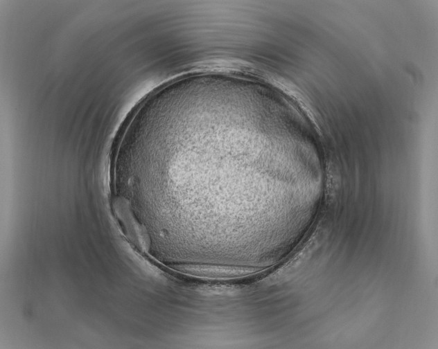 X0000111791083200908061131