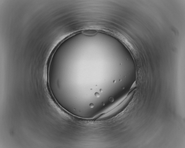 X0000111791084200908061131