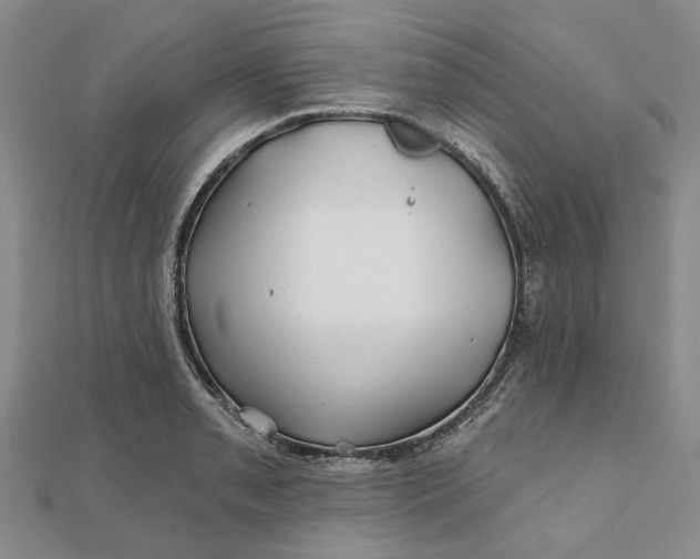 X0000111791085200908061131