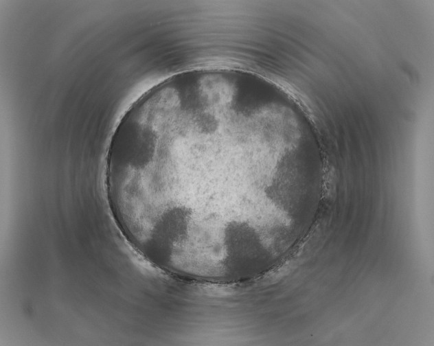 X0000111791086200908061131