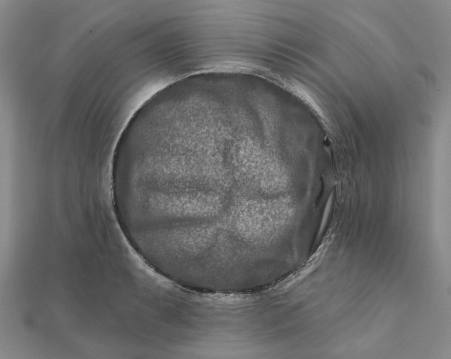 X0000111791087200908061131