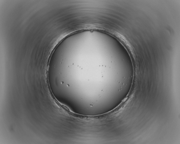 X0000111791089200908061131