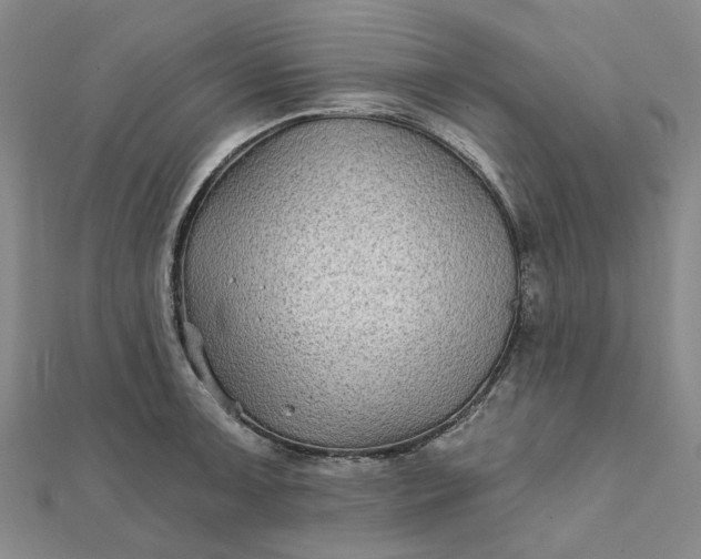 X0000111791091200908061131