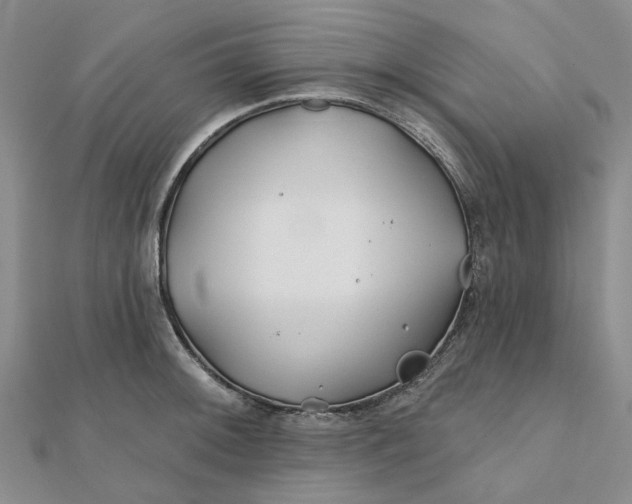 X0000111791092200908061131