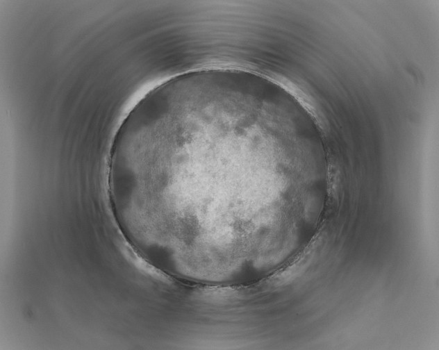 X0000111791094200908061131