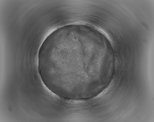 X0000111791095200908061131