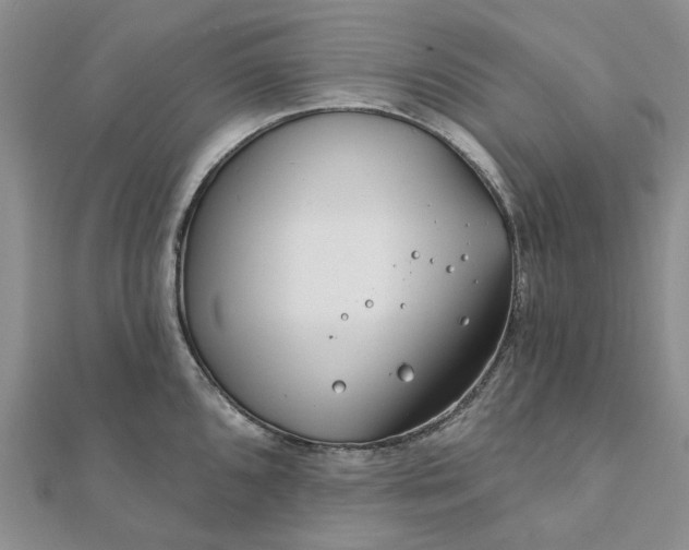 X0000111791096200908061131