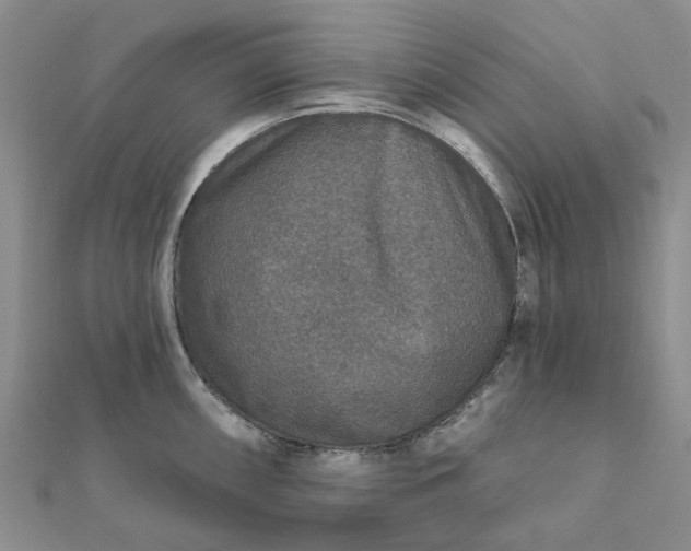 X0000111791098200908061131