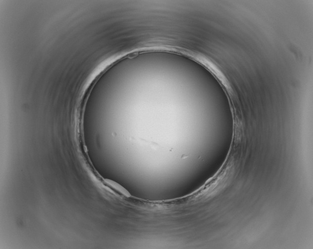 X0000111791101200908061131