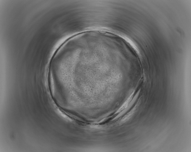 X0000111791102200908061131