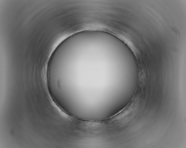 X0000111791103200908061131