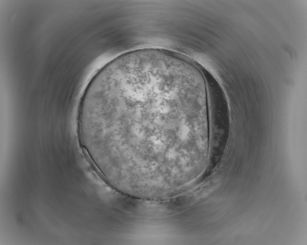 X0000111791104200908061131