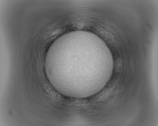 X0000111791105200908061131