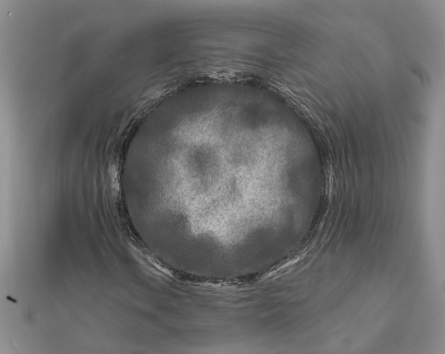 X0000111791106200908061131