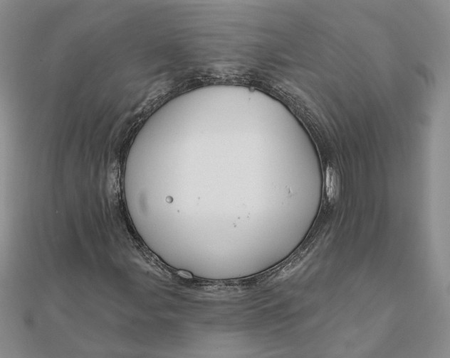 X0000111791107200908061131