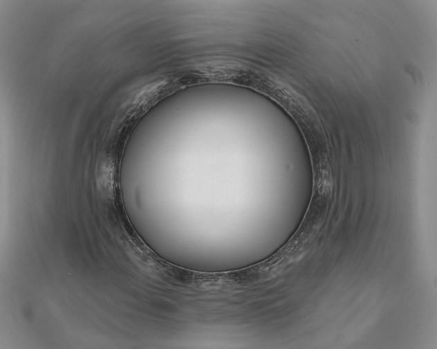 X0000111791108200908061131