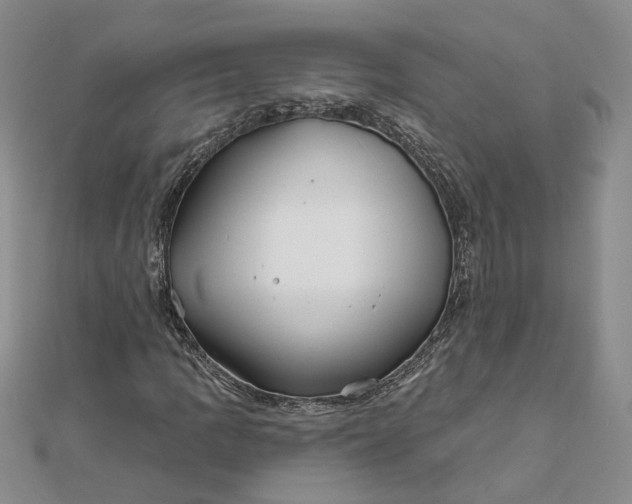 X0000111791109200908061131