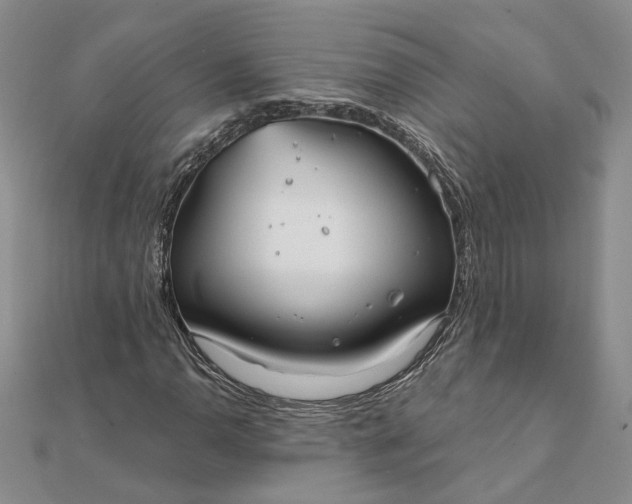 X0000111791110200908061131