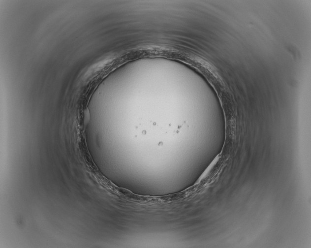 X0000111791111200908061131