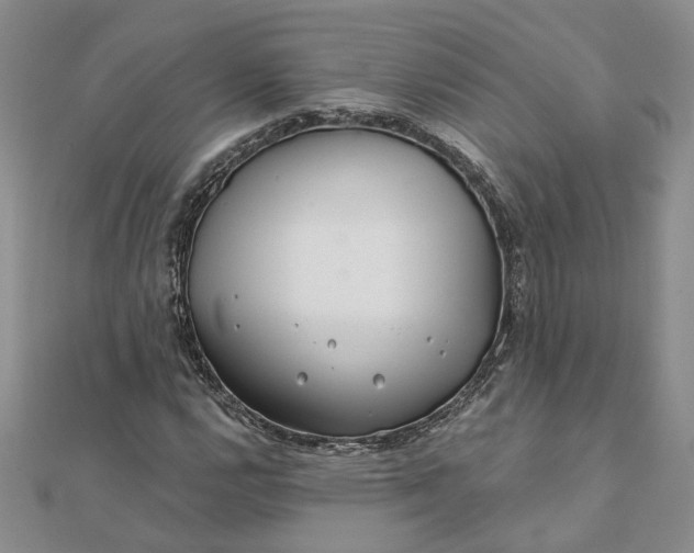 X0000111791112200908061131