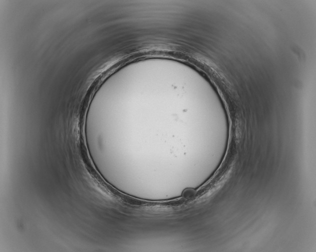 X0000111791113200908061131