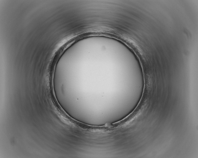 X0000111791114200908061131