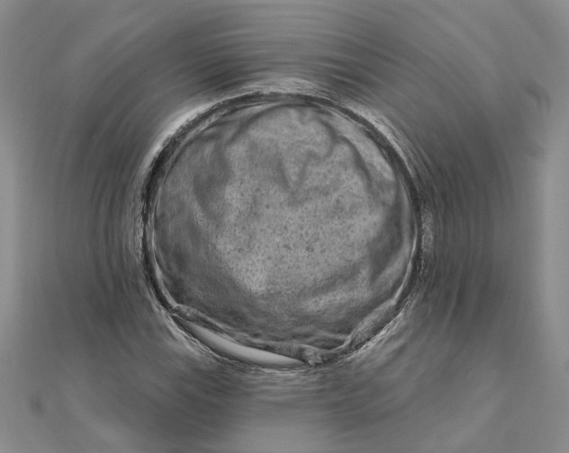 X0000111791115200908061131