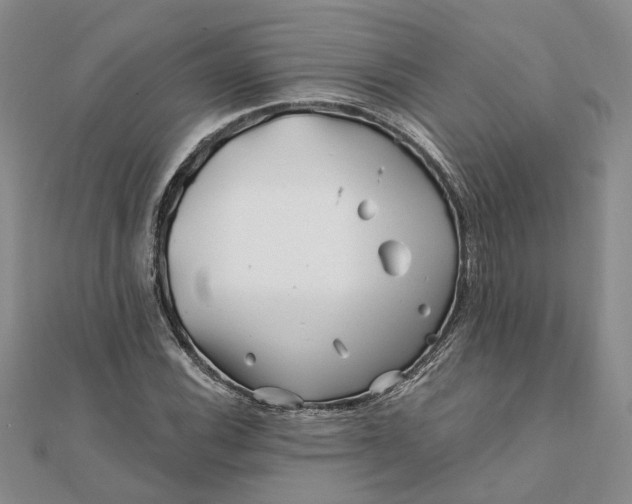 X0000111791116200908061131