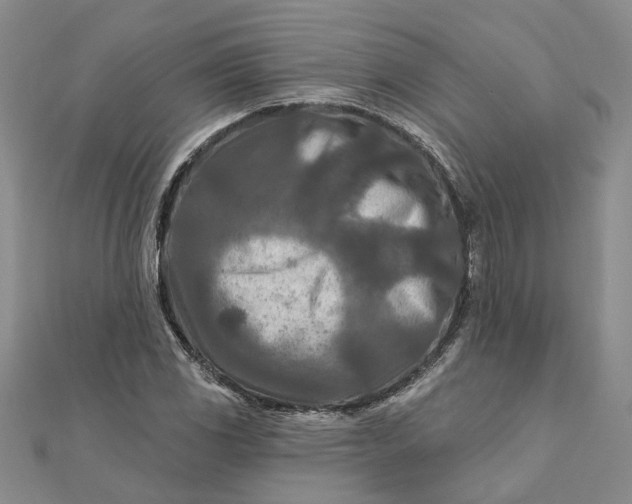 X0000111791117200908061131