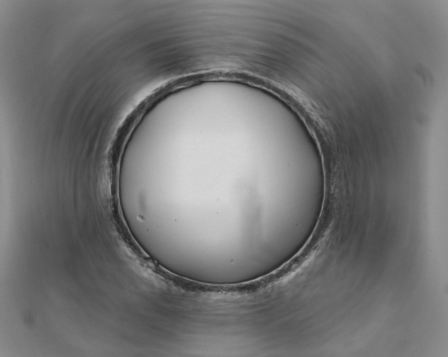 X0000111791118200908061131