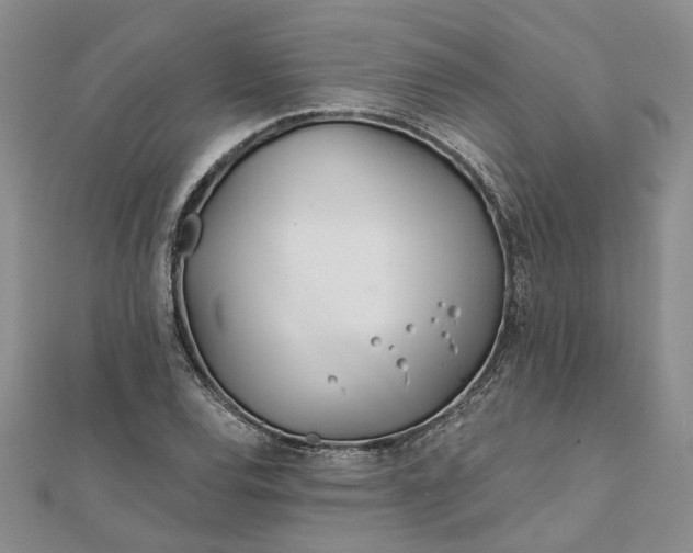 X0000111791120200908061131