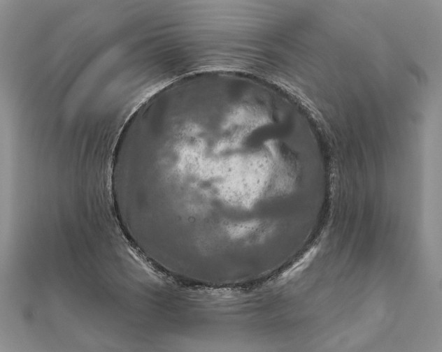 X0000111791121200908061131