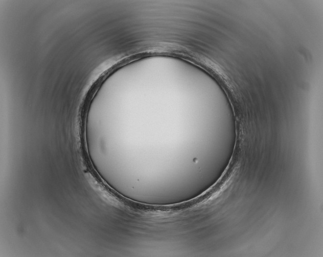 X0000111791122200908061131