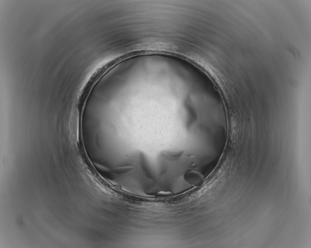 X0000111791123200908061131