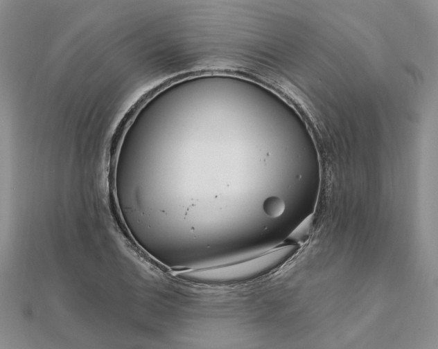 X0000111791124200908061131