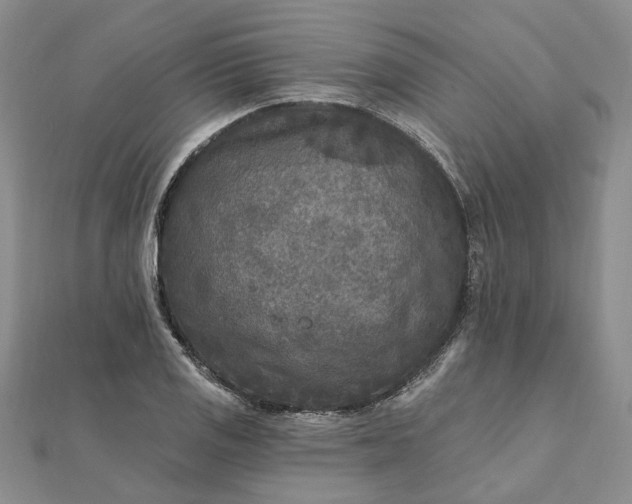 X0000111791125200908061131