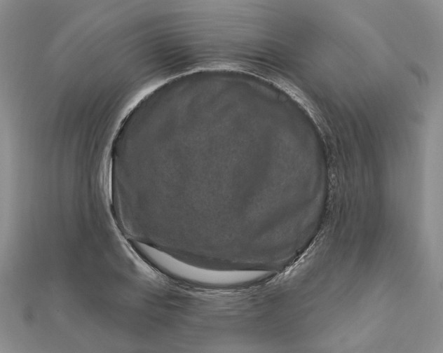 X0000111791127200908061131