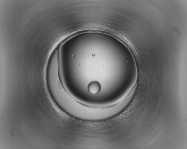 X0000111791128200908061131